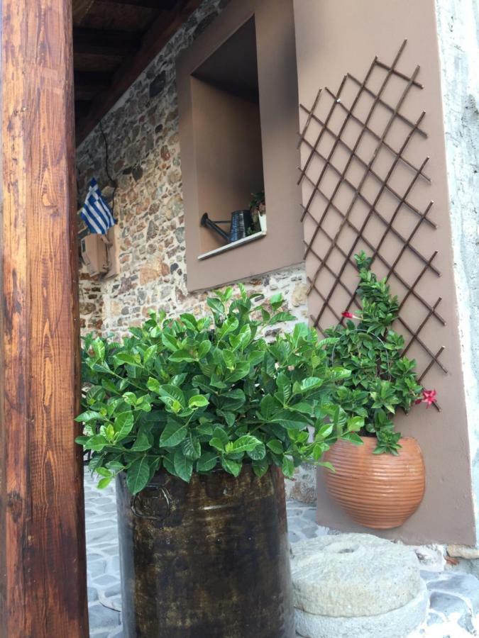 Areti'S Traditional House Apollona Bagian luar foto